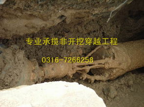 天津過道頂管施工在環(huán)保工程中的應(yīng)用與優(yōu)勢