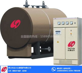 遠大太康鍋爐廠 2T立式熱水鍋爐在環保工程中的應用